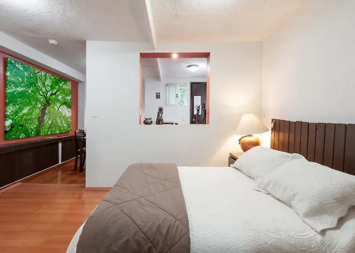 Suite 5A, Altavista, Garden House, Welcome To San Angel